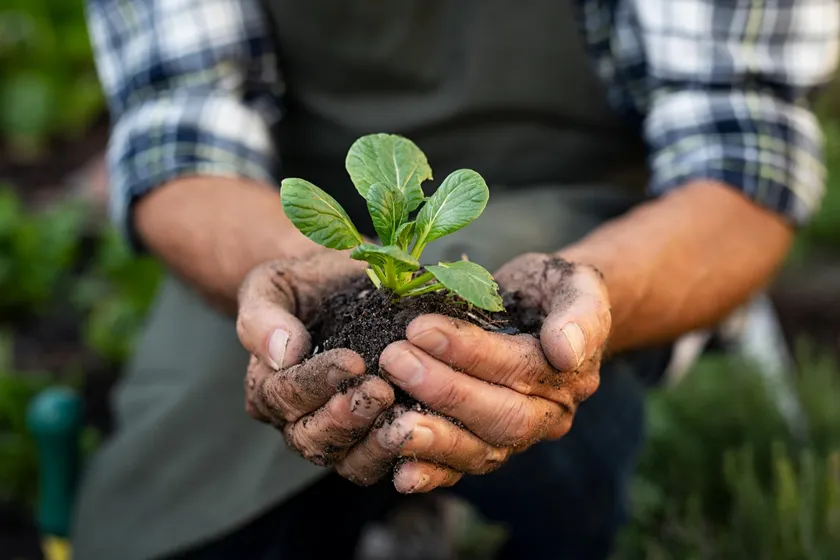 BIO AUSTRIA: Bio-Landwirtschaft muss attraktiv bleiben